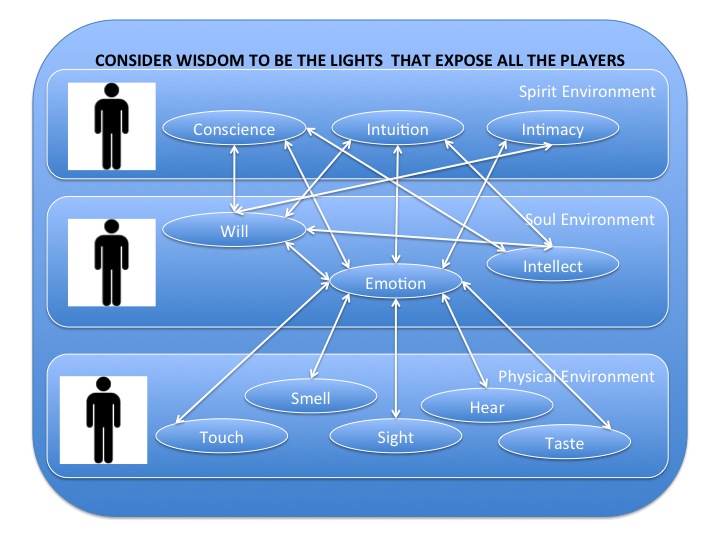 Your Wisdom Lighted 11 Players